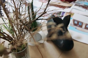Городские зарисовки: Утро, день, вечер, 