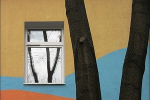 Фотопрогулка с Дмитрием Музалёвым
