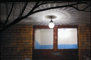 Фотопрогулка с Дмитрием Музалёвым