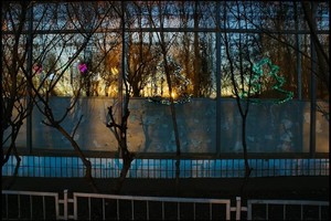Фотопрогулка с Дмитрием Музалёвым