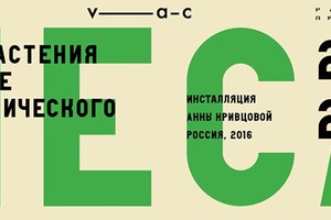 Презентация инсталляции «Леса» на фасаде