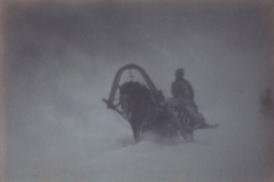 Фотовыставка Николай Андреев. Серпухов. Россия.