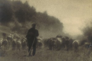 Фотовыставка Николай Андреев. Серпухов. Россия.