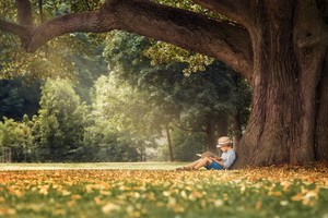 Детский праздник «Книжные истории»