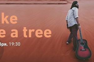 Концерт Make Like a Tree