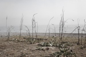 Фотография, как способ увидеть мир