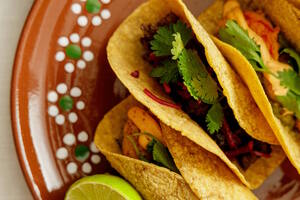 Casa Agave