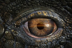 Морские динозавры 3D: Путешествие в доисторический мир