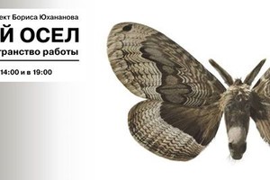 «Золотой Осел. Разомкнутое пространство 