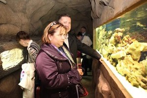 Океанариум «Тайны Океана»