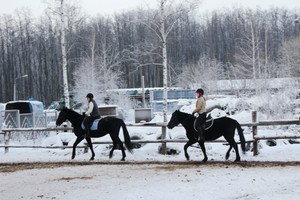 Соловьиная роща